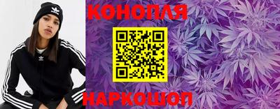 ГАЛЛЮЦИНОГЕННЫЕ ГРИБЫ Канаш